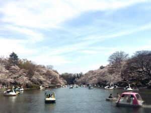 吉祥寺井の頭公園