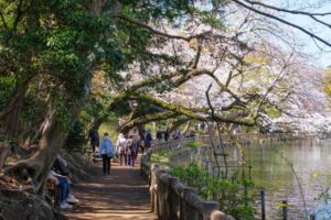 吉祥寺 ダンススタジオ